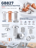 GB827 Knurled Solid Rivet Aluminum Copper Stainless Steel Nameplate Rivet for Sign Plate Fastening - 图片 6