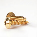 Grade 5 TC4 Titanium Alloy Colorful Torx Drive Self Tapping Screws Washer Head Motorcycle Custom Fasteners M4 M5 OEM - 图片 4